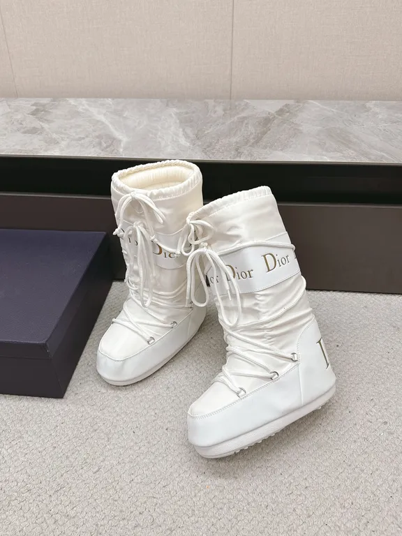 Dior Shoe 